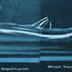 Illustration for article titled This Car Was Supposedly As Fast And Amazing As A Bugatti Veyron In 1959 For $36,000